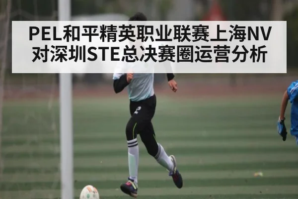 PEL和平精英职业联赛上海NV对深圳STE总决赛圈运营分析